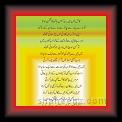 Wasi Shah Kangan 01 * 22.03.2008 * 366 x 633 * (36KB)